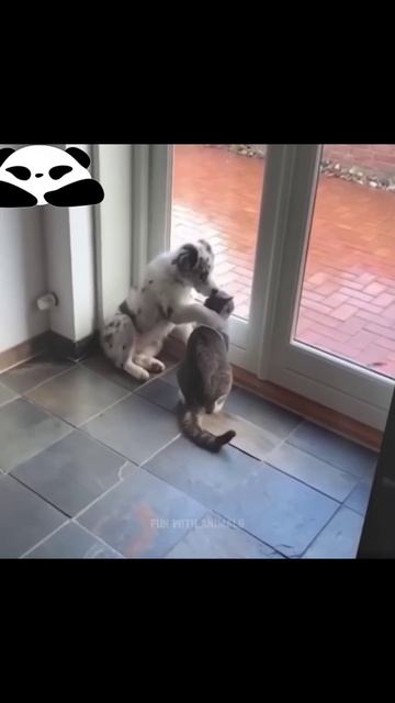Обнимашки #дружить #братья