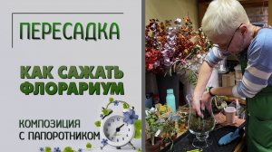 ПЕРЕСАДКИ: как и что посадить во флорариум. Адиантум - нежнейший папоротник. Мастер-класс.
