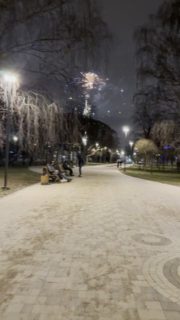 Новогодний Салют