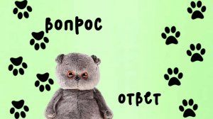 ВОПРОС-ОТВЕТ Бася задаёт вопросы