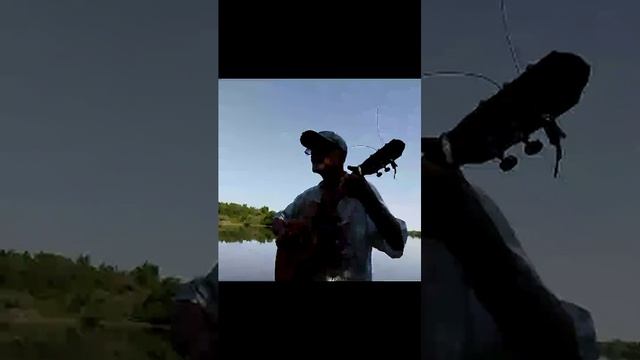 Грандиозный музыкальный СУПЕРМАРАФОН на природе 2026🔥🔥🔥😇🎼💪💪💪💯🎤🎸🌏🇷🇺
