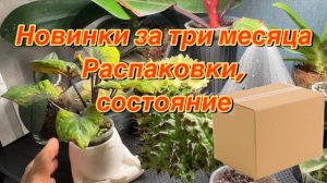 Мои новинки за три месяца+распаковка