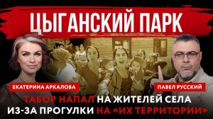 Цыганский парк. Табор напал на жителей села из-за прогулки на «их территории»
