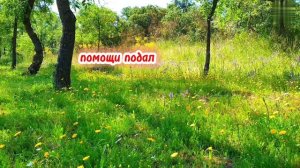 Цените тех...