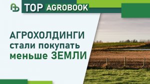 Агрохолдинги стали покупать меньше земли | TOP Agrobook
