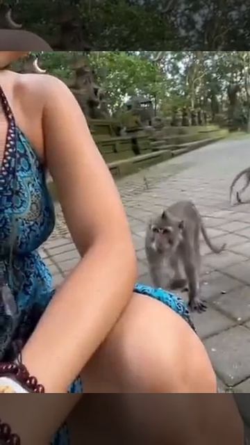 У каждого свой интерес