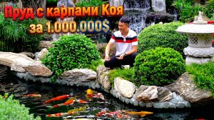 Сад  в Азии с карпами Коя за 1.000.000$