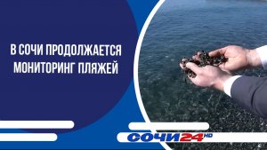 В Сочи продолжается мониторинг пляжей