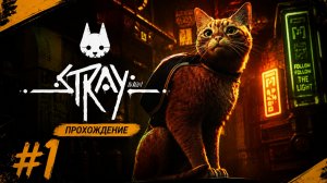 Играем в Stray // Четырехлапый против кибергорода // Первая часть