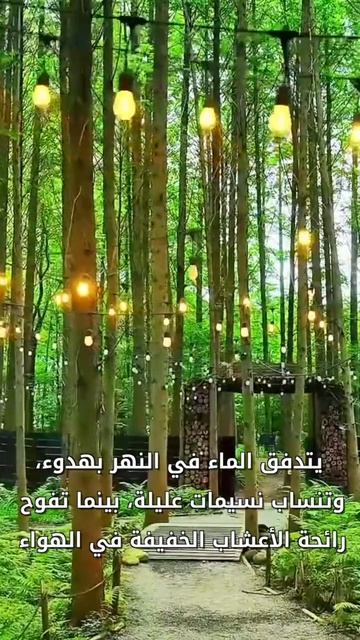 🏞Скрытая природная жемчужина провинции Сычуань