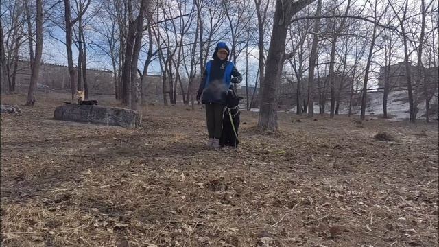 Шерлок повороты 1104