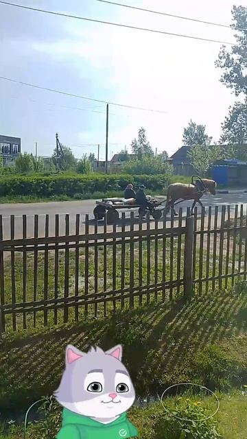 маршрутка
