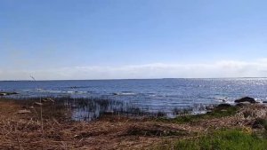 влог) болталка, прогулки)) мои запасы))