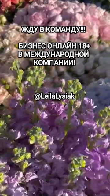 Мы не знаем, что будет завтра: наше дело - быть счастливыми сегодня.