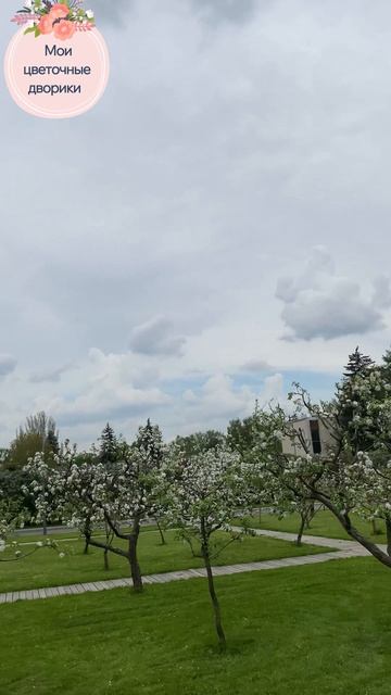 ВДНХ в цвету 🌸 Рай для глаз