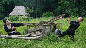На семью карликов напал гигантский питон в их ананасовом саду.
