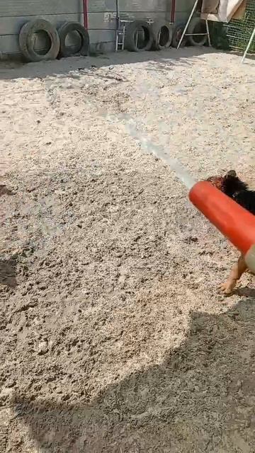 Чанди