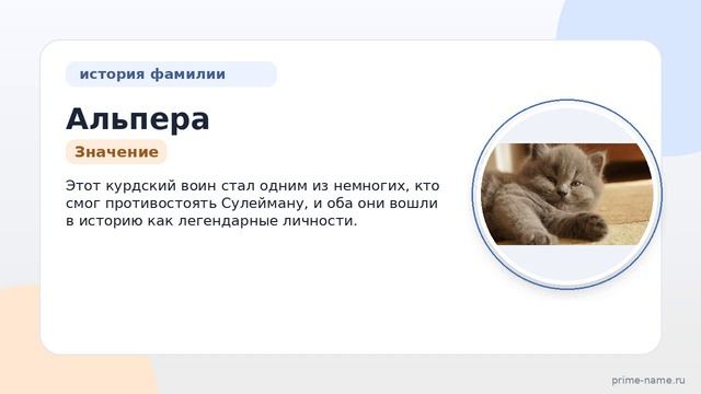 Фамилия Альпера: происхождение, значение и склонение