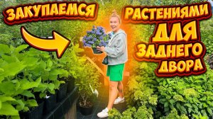 ЗАКУПАЕМСЯ РАСТЕНИЯМИ ДЛЯ ЗАДНЕГО ДВОРА! ЛЕТНИЙ ШОППИНГ!