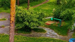 Все кругом цветет, а дождь смывает пыльцу вядовито желтые лужи-реки🌾🌼
