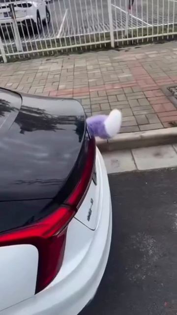 Китайские автовладельцы сошли с ума по хвостам. 

Теперь на дорогах можно встретить и простые машинк