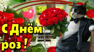 *** «МИЛЛИОНЫ РОЗ» - САТЕЛЛИТ ***