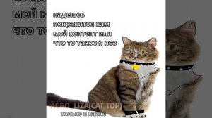 плачьте