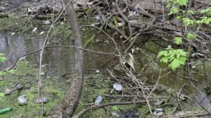 «Вода – это жизнь. Отношение к ней – это отношение к будущему». Ул. Мариинская(р. Крутой)Кемерово