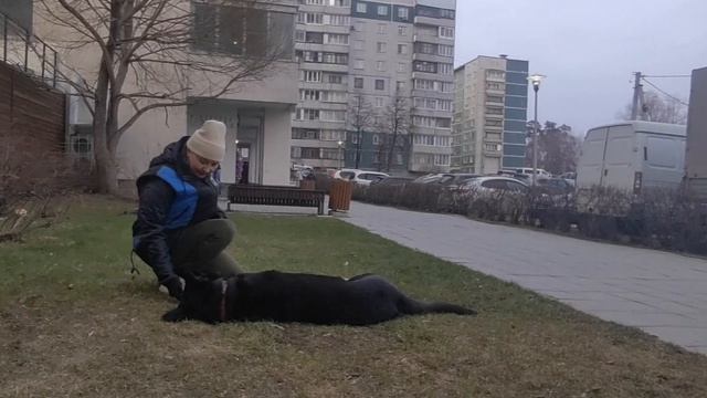 Шерлок бочок 140426