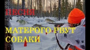 ПЕСНЯ МАТЕРОГО РВУТ СОБАКИ