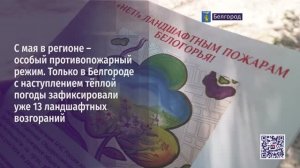 С мая в регионе – особый противопожарный режим