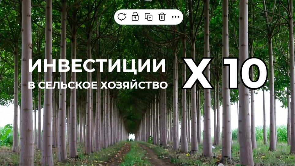 Запрос на инвестиции