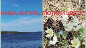 ВЛОГ-Два дня тепло на севере ) Ангара) Цветы цветут)