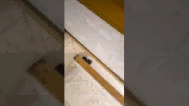 Стрим в школе