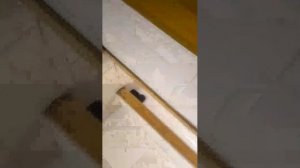 Стрим в школе