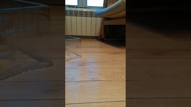Распаковка Метал Кард Бота Маслхайд Часть 2
