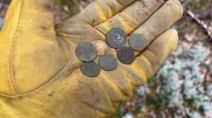 Бодрый вечер в соседнем лесу