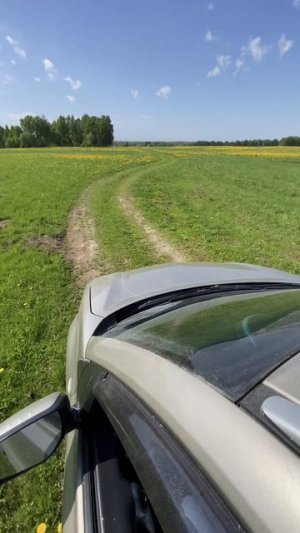 Весенняя поездка в Бородино. Renault Koleos.
