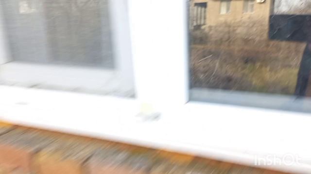 1000000085.mp4