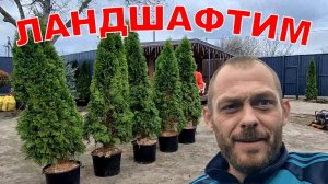 Ландшафтные работы на Гостевом доме. Продали весь редис.