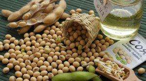 Мужские гормоны и соя: почему мы верим в этот миф?