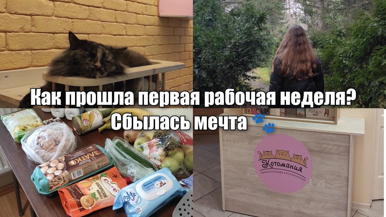 АРХИВ 2025 | Vlog: закупка выходного дня | котокафе в Калининграде 🐾 |   01-02.02.2025