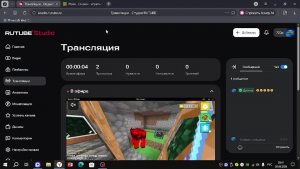 играю в маин-онлаин с братом