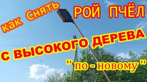КАК СНЯТЬ РОЙ ПЧЁЛ БЫСТРО ! ПРОСТО ! Снимаем РОЙ пчёл  с ВЫСОКОГО ДЕРЕВА по - НОВОМУ ! !