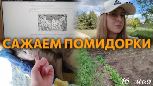 ВЛОГ Посадили ПОМИДОРЫ?🍅 Сёма целый день спит😺