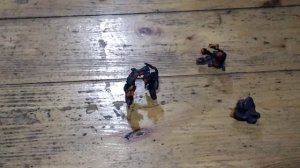 пластилин скибиди туалет серия 12