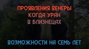 Чувства вне конфликта