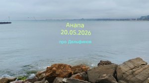 Анапа 20.05.2026 про Дельфинов