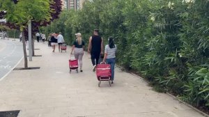 РЫНОК В ИСПАНИИ. ЧТО С ЦЕНАМИ? В поисках щавеля для зеленого борща! Чудеса в семье!