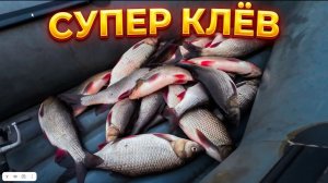 Новый сезон. Супер клёв! Отличное открытие летней рыбалки. На каждый заброс поклёвка!